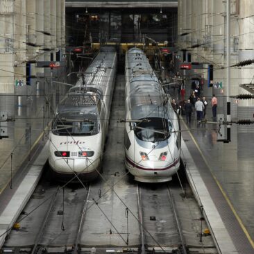 bird, train high speed, transport, passengers, travelers, atocha, madrid, spain, trains, station, atocha, atocha, atocha, atocha, atocha, madrid