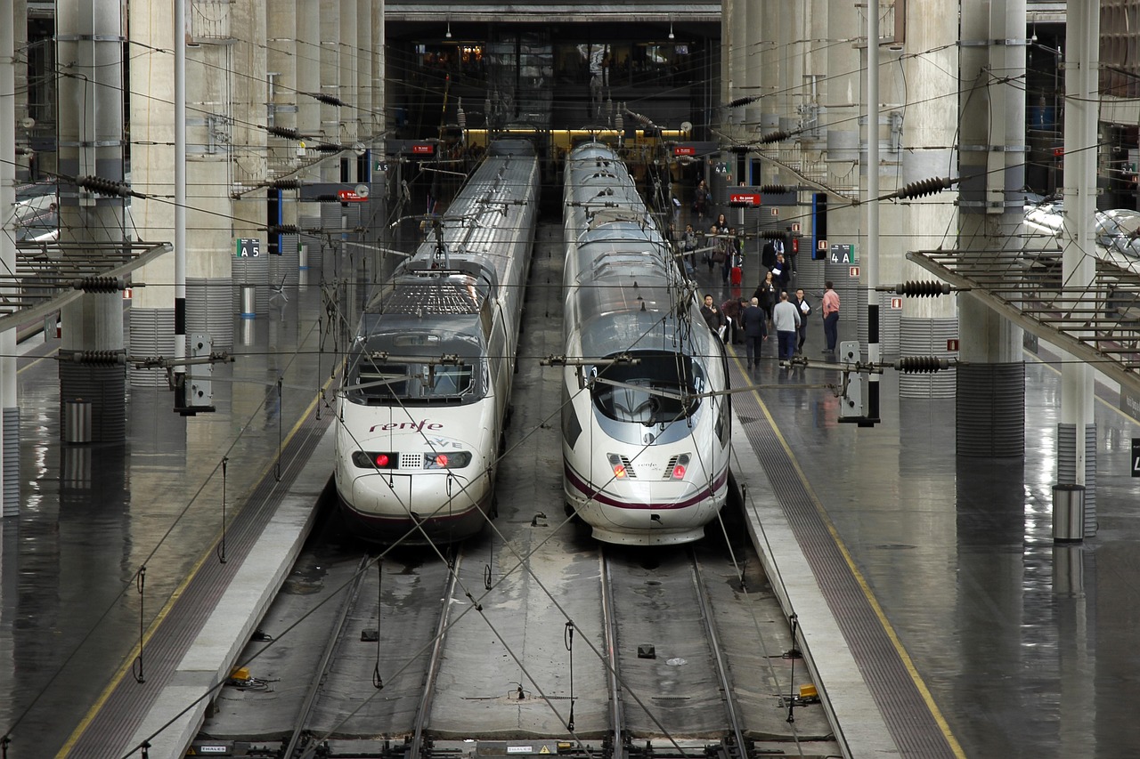 bird, train high speed, transport, passengers, travelers, atocha, madrid, spain, trains, station, atocha, atocha, atocha, atocha, atocha, madrid